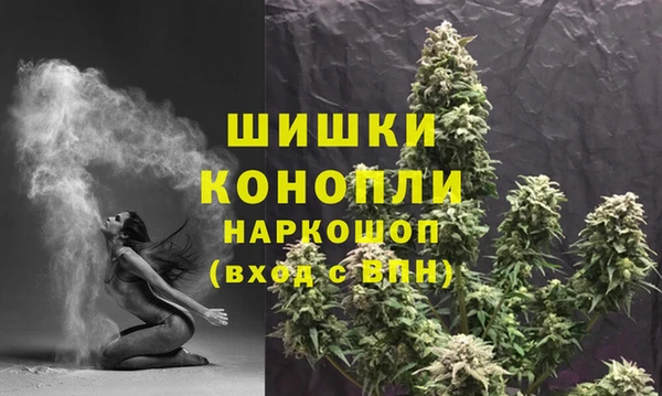 a pvp Инсар